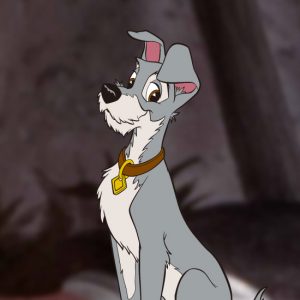 わんわん物語 トランプがかっこいい 犬の種類や弱点は何 Disney Index